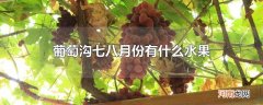 葡萄沟七八月份有什么水果