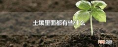 土壤里面都有些什么