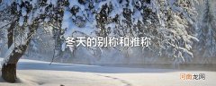 冬天的别称和雅称