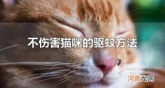 不伤害猫咪的驱蚊方法 蚊香的气味会伤害猫咪吗