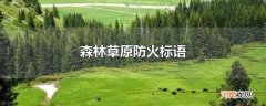森林草原防火标语