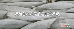 活鱼急冻几天后还能复活吗