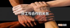 分工与合作的关系