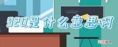 920是什么意思啊