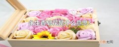 永生香皂花是什么意思?