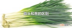 藠头和葱的区别