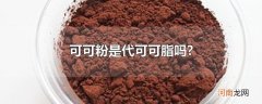 可可粉是代可可脂吗?