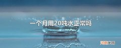 一个月用20吨水正常吗