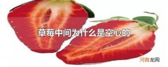 草莓中间为什么是空心的