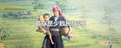 苗族是少数民族吗?