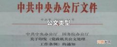 公文类型