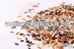 三色糙米需要提前泡一晚上吗 三色糙米需要提前泡一晚上