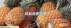 凤梨省是哪里