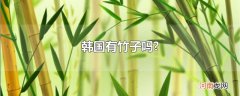 韩国有竹子吗?