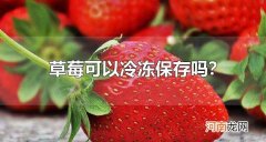 草莓可以冷冻保存吗？ 草莓要怎么样保存