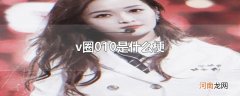 v圈010是什么梗