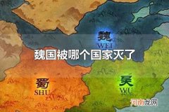 魏国被哪个国家灭了 魏国被秦国灭了