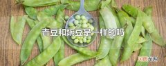 青豆和豌豆是一样的吗
