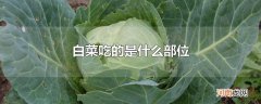 白菜吃的是什么部位