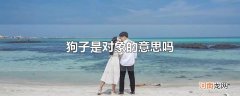 狗子是对象的意思吗
