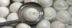 汤圆品种