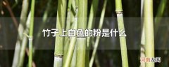 竹子上白色的粉是什么
