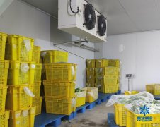 保鲜库造价多少一平 冷库建设成本需要多少钱一平米