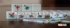 春夏秋冬梅兰竹菊有什么用
