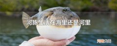 河豚生活在海里还是河里
