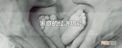 家庭的经济功能