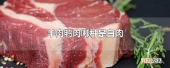 羊肉鸭肉哪种是白肉