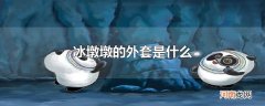 冰墩墩的外套是什么