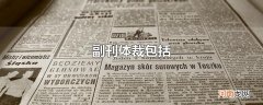 副刊体裁包括