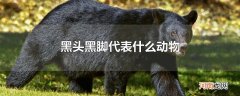 黑头黑脚代表什么动物
