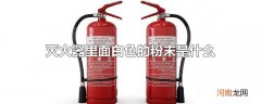 灭火器里面白色的粉末是什么