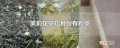 茉莉花茶几月份有新茶