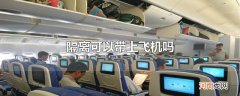隔离可以带上飞机吗
