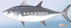 金枪鱼是海鲜吗