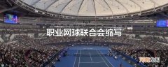 职业网球联合会缩写