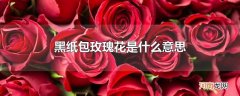 黑纸包玫瑰花是什么意思