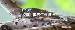 《蝉》蝉的生长过程