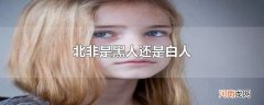 北非是黑人还是白人
