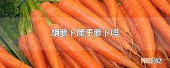 胡萝ト属于萝卜吗
