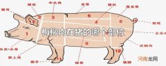 梅柳肉在猪的哪个部位