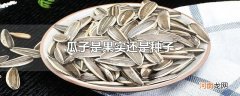瓜子是果实还是种子