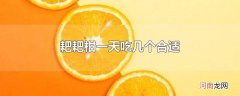 耙耙柑一天吃几个合适