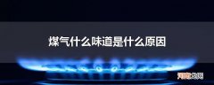 煤气什么味道是什么原因