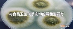 与食品卫生关系密切的霉菌主要有