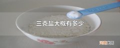 三克盐大概有多少