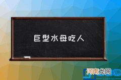 巨型水母吃人,水母会伤人吗？